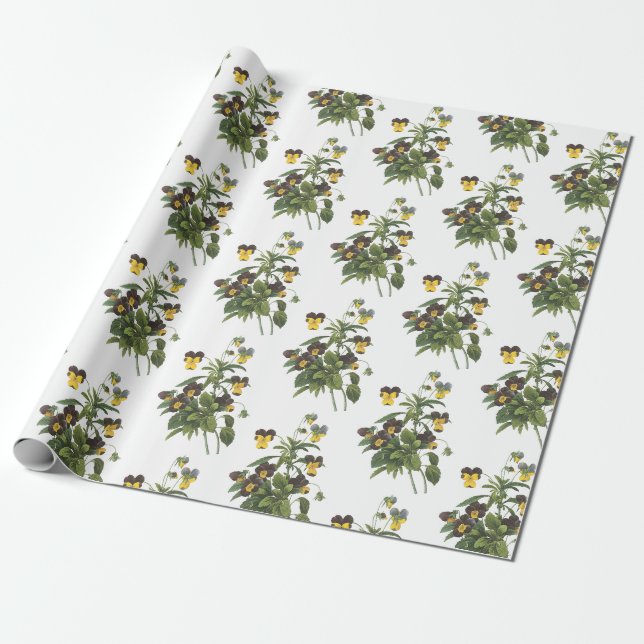 Papel De Presente Padrão de Flor de Pensamento (Desenrolado)
