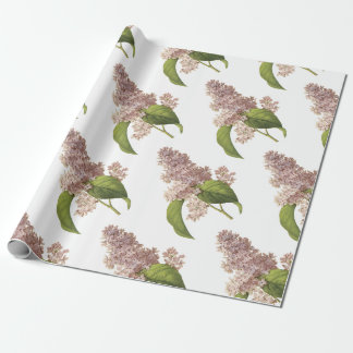 Papel De Presente Padrão de Flor Lilac