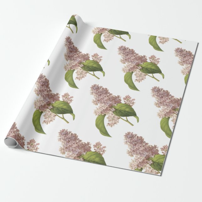 Papel De Presente Padrão de Flor Lilac (Desenrolado)