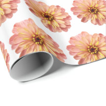 Padrão de Fotografia da Flor Floral Zinnias