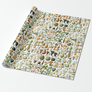 Papel De Presente Padrão de Frutas Adolphe Millot