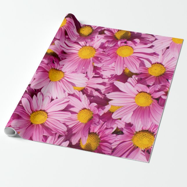 Papel De Presente Padrão de margarida rosa (Desenrolado)