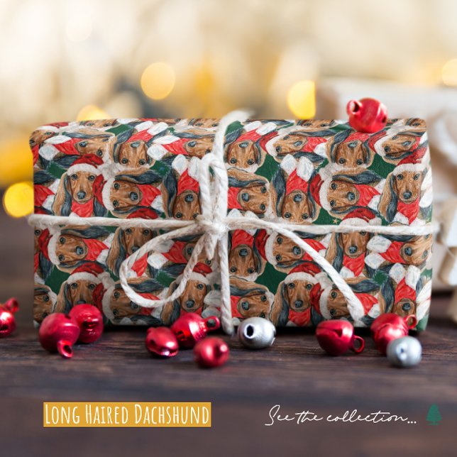 Papel De Presente Padrão de Natal de Dachshund Engraçado de Cabelo C (Criador carregado)