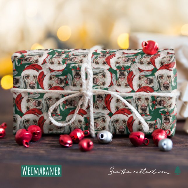Papel De Presente Padrão de Natal Engraçado Weimaraner (Criador carregado)