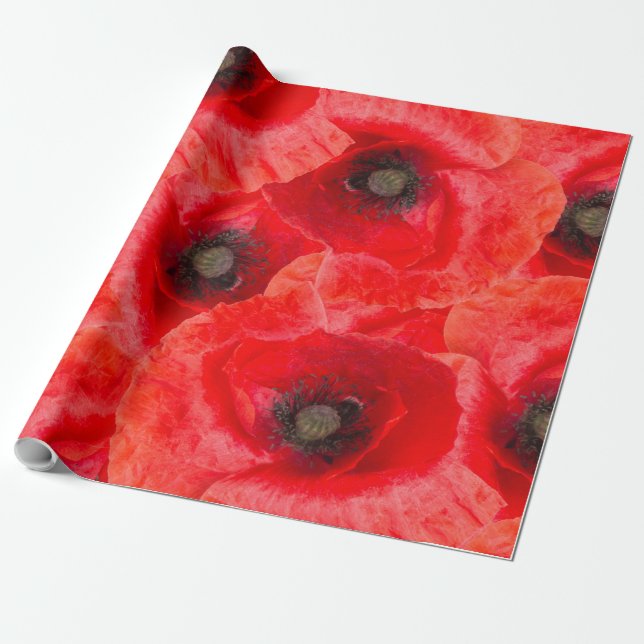 Papel De Presente padrão de papoulas selvagens (Desenrolado)