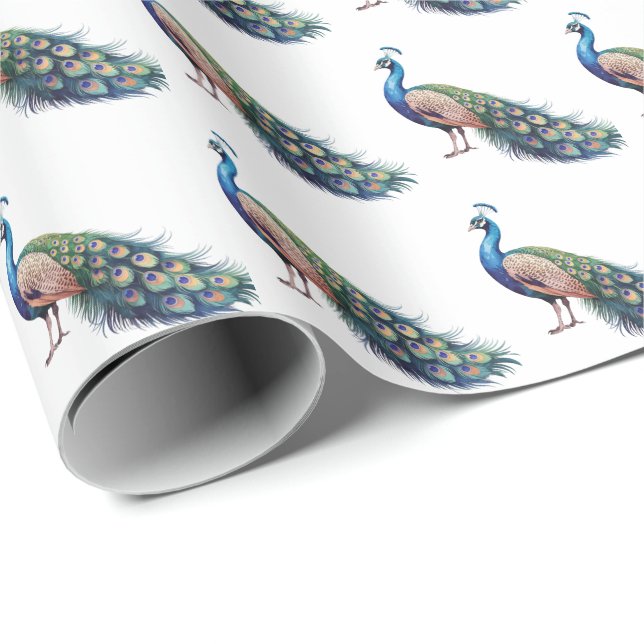 Papel De Presente Padrão de Pavão de Aquarela Moderna de Tendy (Ponta do rolo)