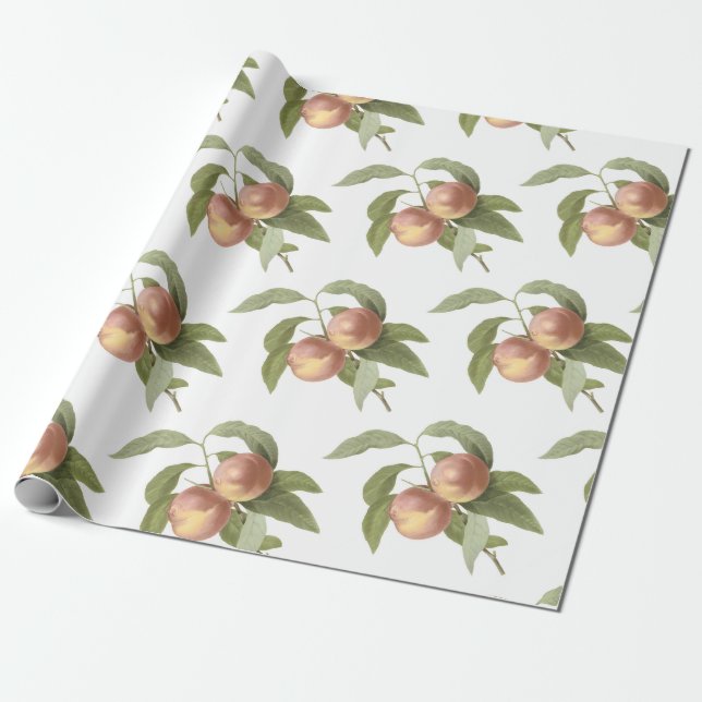 Papel De Presente Padrão de Pêssego (Desenrolado)
