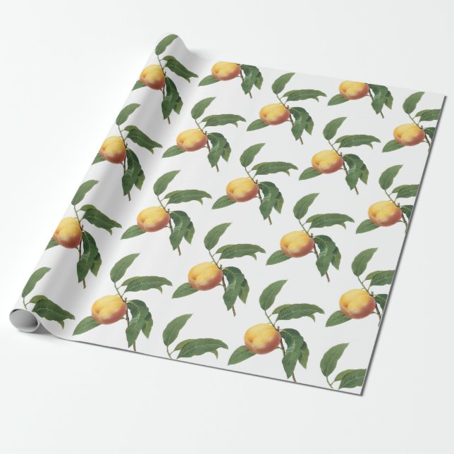 Papel De Presente Padrão de Pêssego (Desenrolado)
