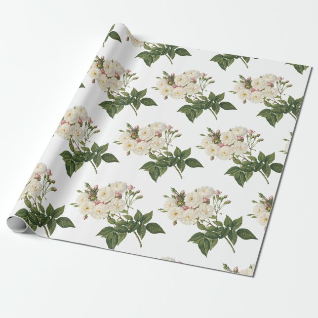 Papel De Presente Padrão do ventilador rosa (Desenrolado)
