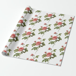 Papel De Presente Padrão do ventilador rosa