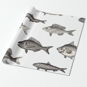 Papel De Presente Padronização de peixe-safra, peixe, patins