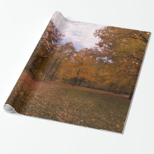 Papel De Presente Paisagem das árvores do outono