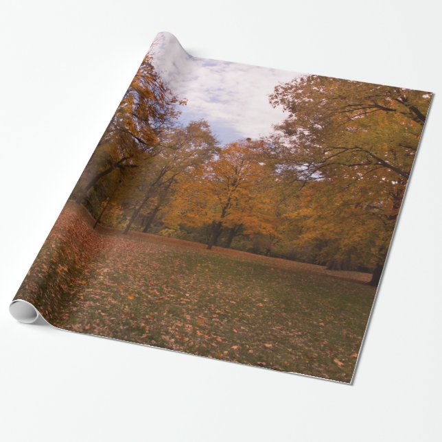 Papel De Presente Paisagem das árvores do outono (Desenrolado)