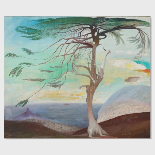 Papel De Presente Paisagem Paisagem de Árvore Cedar do solitário (Aberto)