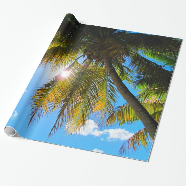 Papel De Presente Palm Paradise Blue Sky Sunshine (Desenrolado)