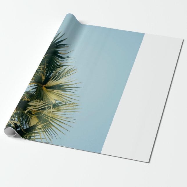 Papel De Presente Palmeira do ventilador sob o céu azul (Desenrolado)