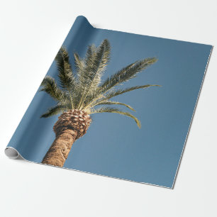 Papel De Presente Palmeira verde sob céu azul pela manhã