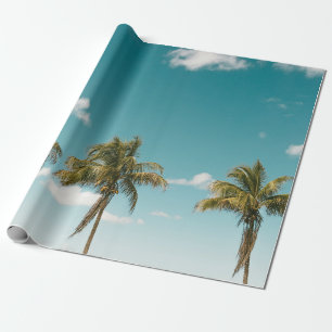 Papel De Presente Palmeira verde sob céu azul pela manhã