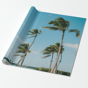 Papel De Presente Palmeiras na praia pela manhã