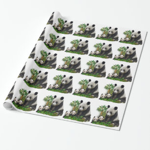 Papel De Presente Panda Bears