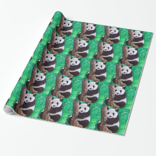 Papel De Presente Panda em pintura em árvore