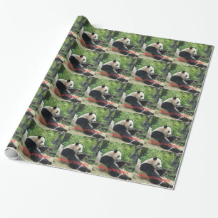 Papel De Presente Panda gigante Felry Natal
