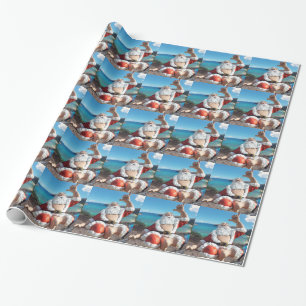 Papel De Presente Papai Noel no Havaí