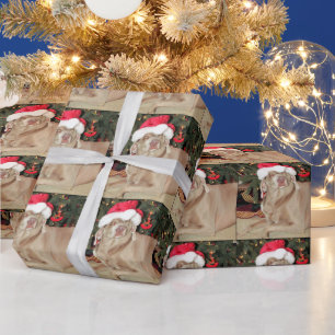 Papel De Presente Papais noeis - Estilo de Cachorro do Weimaraner