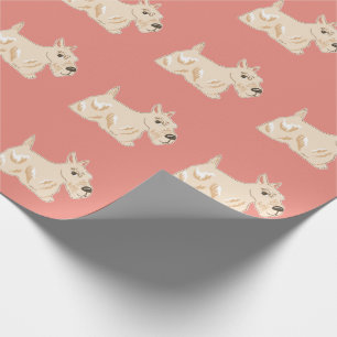 Papel De Presente Papéis De Enxaguamento Quentes De Pêssego