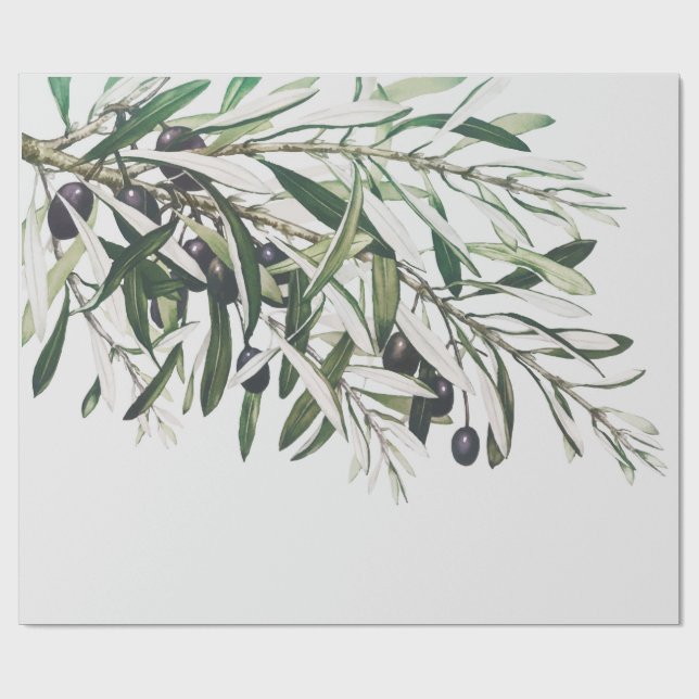 PAPEL DE PRESENTE PAPEL DE EMBALAGEM: MERRY CHRISTMAS OLIVE BRANCH (Aberto)