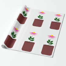 Papel de embrulhamento Daisy Potted