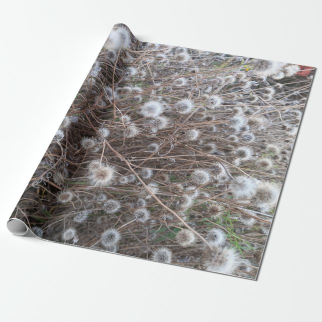 Papel De Presente papel de embrulhamento de flores (Desenrolado)