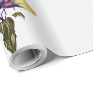 Papel De Presente Papel de enrolamento