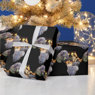 Papel De Presente Papel de enrolamento da África selvagem