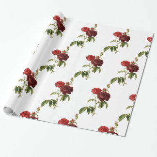 Papel De Presente Papel de enrolamento, ROSA de 30" x 6' SEED FELIZ