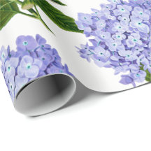 Papel de envolvimento azul do Hydrangea