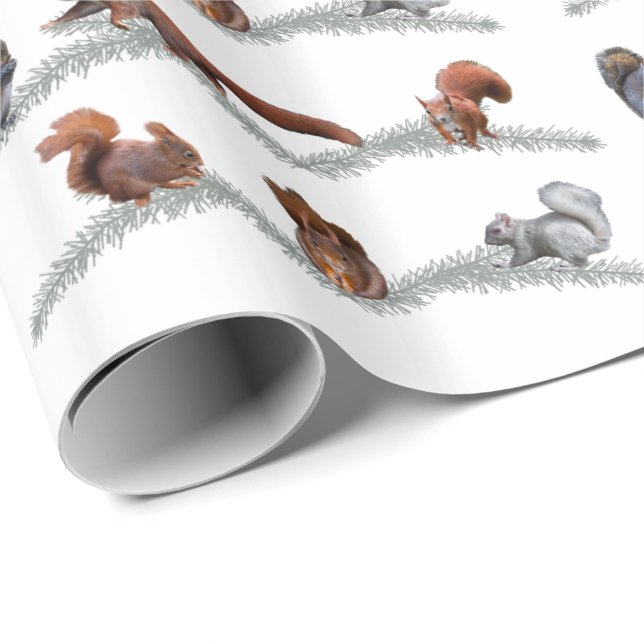 Papel De Presente Papel de envolvimento da agitação do esquilo (Ponta do rolo)