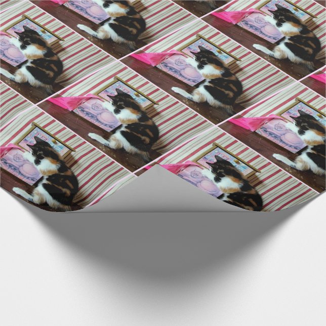 Papel De Presente Papel de envolvimento do Wardrobe de Leilani (Ponta)