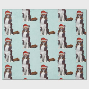 Papel De Presente Papel de envolvimento FESTIVO do COLLIE