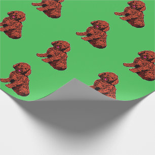 Papel De Presente Papel de Mola Verde Padrão do Brown Labradoodle