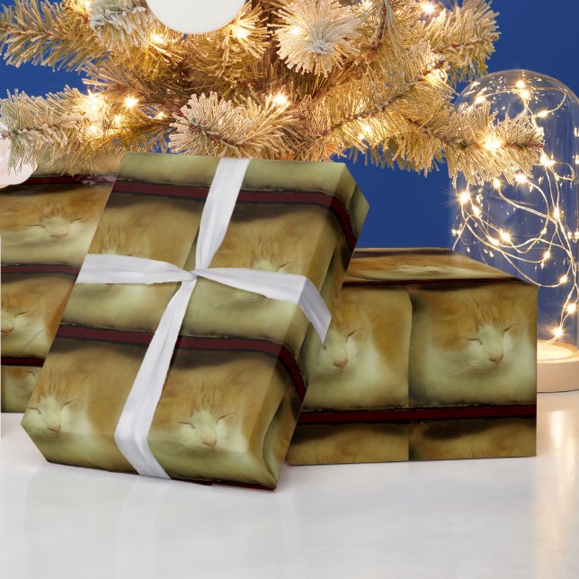 Papel De Presente Papel de moldagem de gato doce (Feriados)