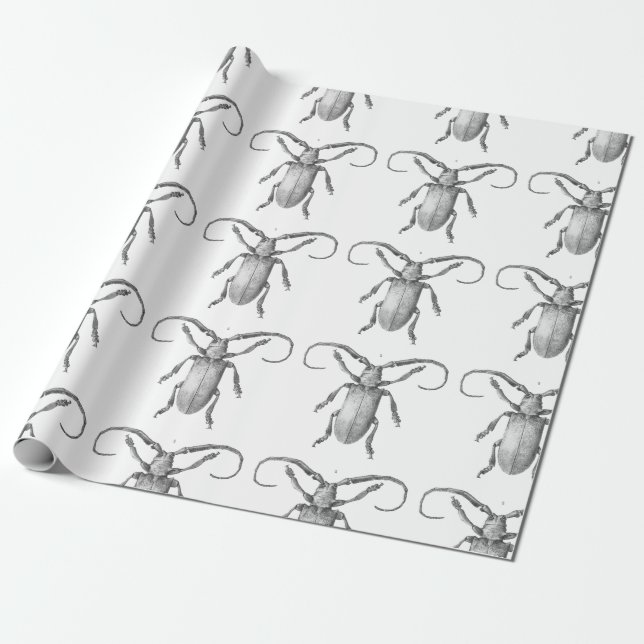 Papel De Presente Papel do presente da ilustração do besouro do (Desenrolado)