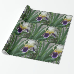 Papel De Presente Papel Iris Flower Wrapping