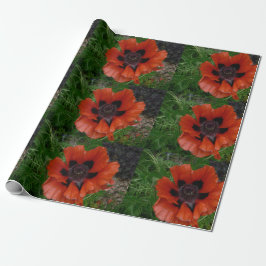 Papel De Presente papoula oriental