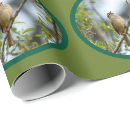 Papel De Presente Pardal-de-coroa-branca Férias