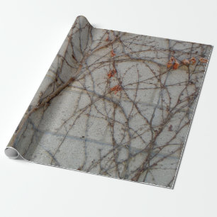 Papel De Presente Parede em Bloco de Concreto com Vinhas