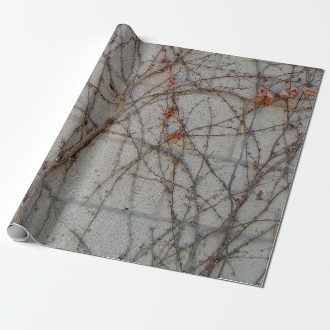 Papel De Presente Parede em Bloco de Concreto com Vinhas (Desenrolado)