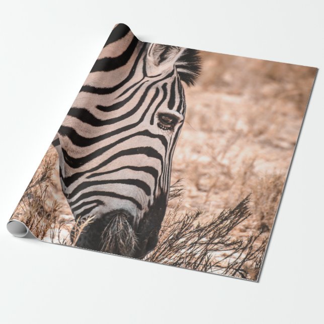 PAPEL DE PRESENTE PARQUE NACIONAL ZEBRA ETOSHA (Desenrolado)