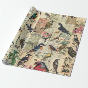 Papel De Presente Pássaro Borboleta Jornal Botânico Vintage