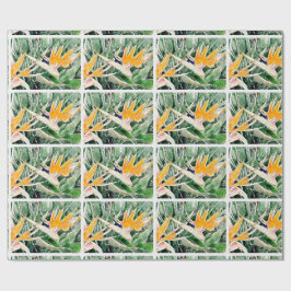 Papel De Presente Pássaro de paraíso havaiano tropical